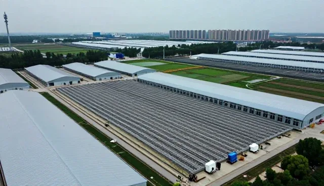 设备维护中的技术咨询如何推动成果转化